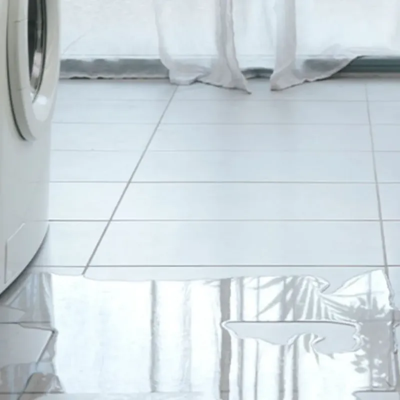 Appliance Leak Cleanup in Patten, ME
