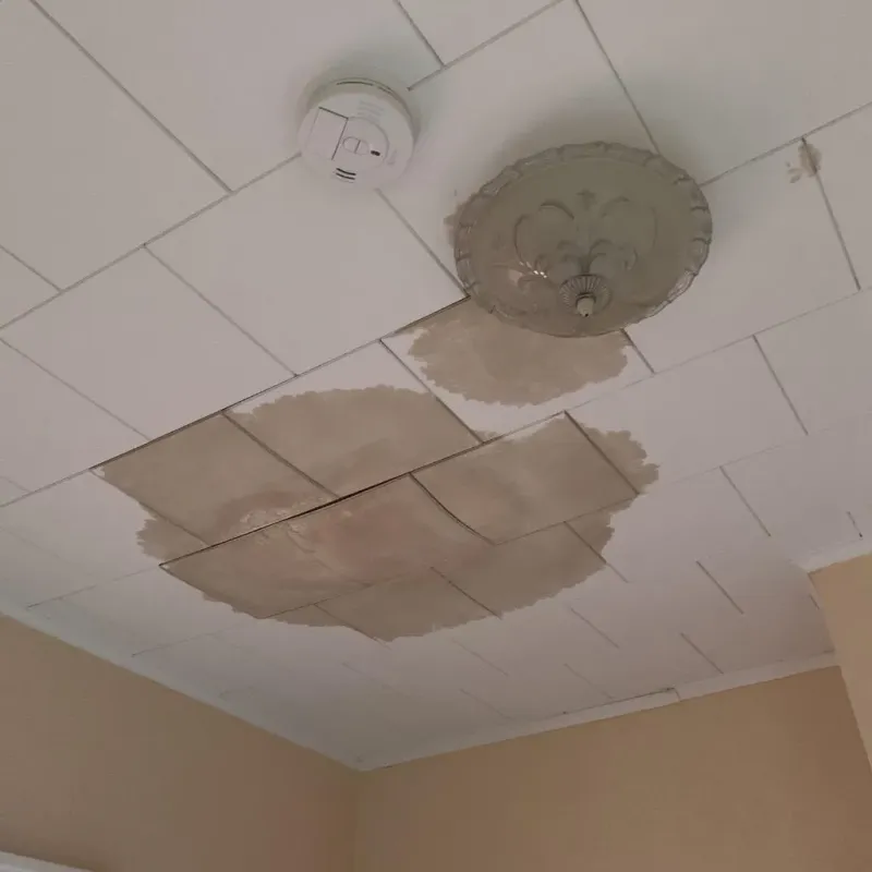 Ceiling Water Damage Repair in Patten, ME