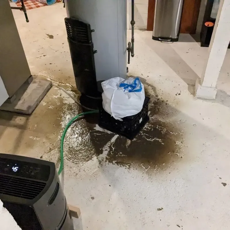 Sewage Backup Cleanup Service in Patten, ME